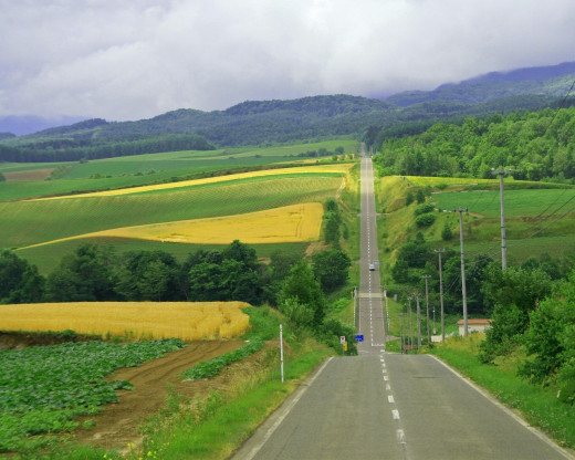 48602 (a): :1280x1024